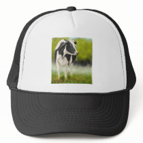 Holstein Cow in Pasture Mesh Hat