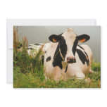 Holstein cow custom invite