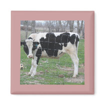 Holstein Cow magnets