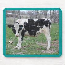 Holstein Cow mousepads