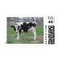 Holstein Cow postage by Art_By_Linda Holstein Cow postage