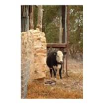 holstein cow print nb by FamilyNature holstein cow print nb