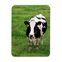 Holstein cow rectangular magnet