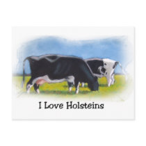 HOLSTEIN COWS PASTEL ART postcards