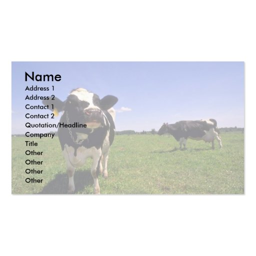 Holstein Dairy Cattle Business Card Template (front side)