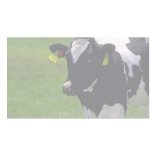 Holstein Dairy Cattle Business Card Templates (back side)
