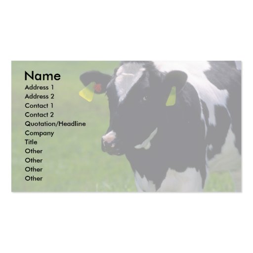 Holstein Dairy Cattle Business Card Templates (front side)