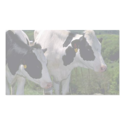 Holstein Dairy Cattle Business Cards (back side)