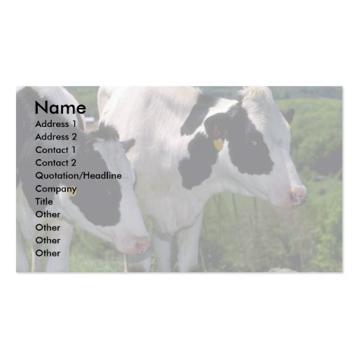 Holstein Dairy Cattle Business Cards (front side)