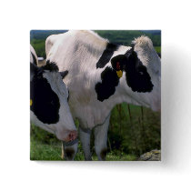 Holstein Dairy Cattle Pin