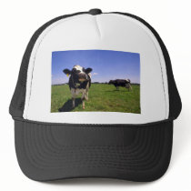 Holstein Dairy Cattle Hats