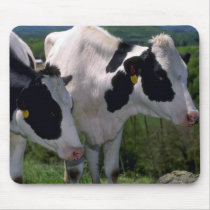 Holstein Dairy Cattle Mouse Pad