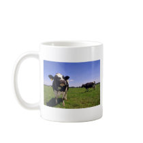 Holstein Dairy Cattle Mugs