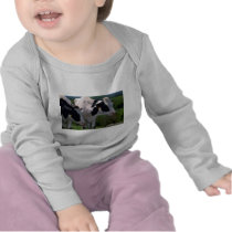 Holstein Dairy Cattle Tee Shirts