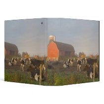 Holstein dairy cows outside a barn at sunrise binder
