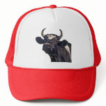 Holstein Hats