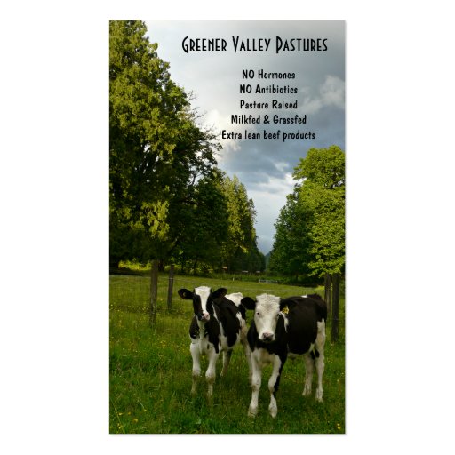 Holstein Veal Baby Beef Farm Business Cards (front side)