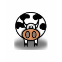 "Holy Cow!"  it's a cow t-shirt...