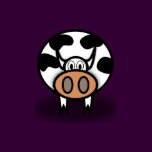 "Holy Cow!"  it's a cow t-shirt...
