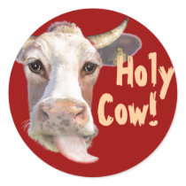 Holy Cow! Sticker