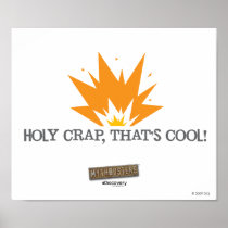 Holy Crap, That's Cool Poster