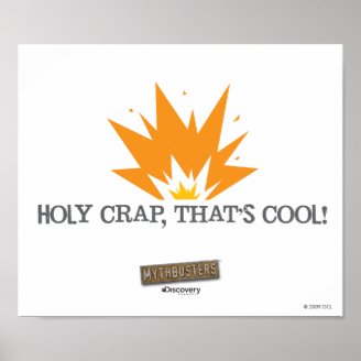 Holy Crap, That's Cool Poster