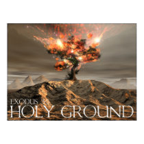 Holy Ground posters