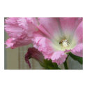 Holy Hollyhocks! posters by codfishlady Holy Hollyhocks! posters
