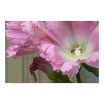 Holy Hollyhocks! posters
