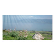 Holy Land Scenes and Images from Israel Picture Card
