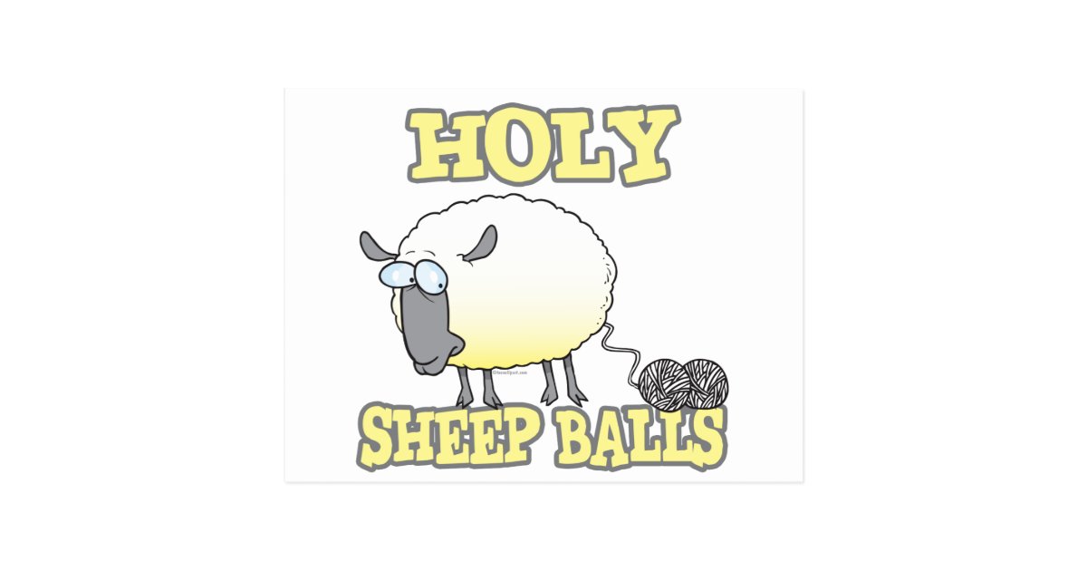 holy sheep balls funny unraveling yarn sheep postcard Zazzle