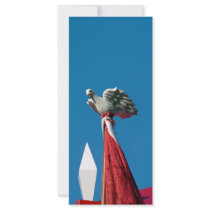 Holy Spirit Full Color Rack Card