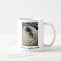 Homage to Andean Women/Mug mugs