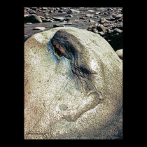 Homage to Andean Women/Poster posters