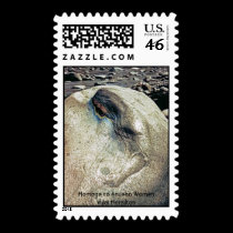 Homage to Andean Women/Stamp stamps