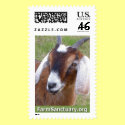 Hombre the Goat postage by FarmSanctuary Hombre the Goat postage