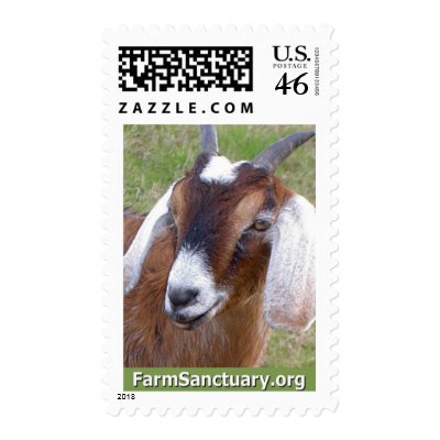 Hombre the Goat Postage Stamp by FarmSanctuary