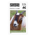 Hombre the Goat postage by FarmSanctuary Hombre the Goat postage