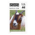 Hombre the Goat Postage Stamp