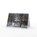 Home After the Snowstorm card