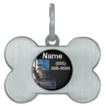 Home Alone Dog & Cat Pet Tag