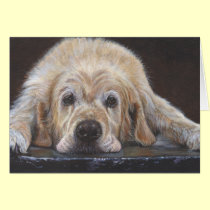 Home Alone Golden Retriever Greeting Card cards
