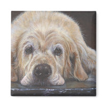 Home Alone Golden Retriever Magnets