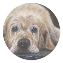 Home Alone Golden Retriever Sticker