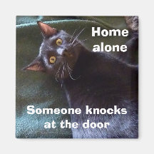 Home Alone Magnet