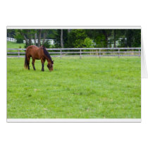 Home At Last cards by equineelders Home At Last cards