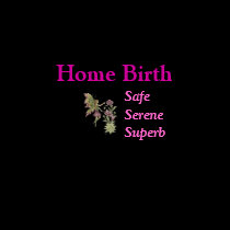 Home Birth t-shirts
