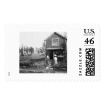 Home Cats Fairbanks Alaska 1916 Stamps