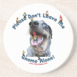 Home Gnome Alone Dog Coaster