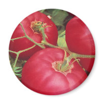 Home Grown Tomatoes magnets